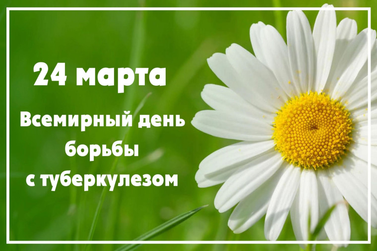 Изображение взято с Яндекс.Картинки.